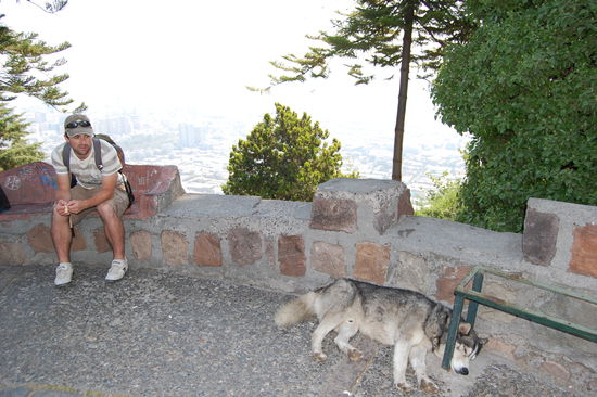 Ueberall liegen Hunde herum. Manche sehen aus wie tot, weil sie sich von den vorbeigehenden Leuten gar nicht beim Schlafen stoeren lassen. Stefan ist ihnen gegenueber immer skeptisch 