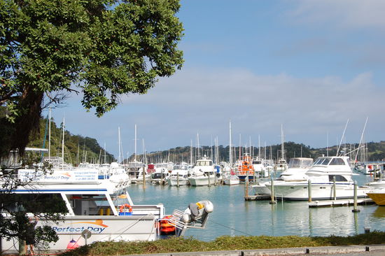 ...doch am naechsten morgen wurde es puenktlich zum Tauchen gehen super.