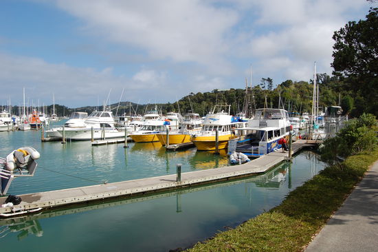 Nochmal der Hafen. Mit dem zweiten Boot von rechts gings zum Tauchen.