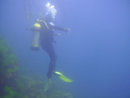 Stefan beim Abtauchen.