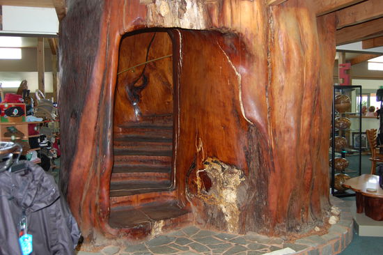 Eine Wendeltreppe, welche aus dem groessten ausgegrabenen Sumpf-Kauri gearbeitet wurde und einen Durchmesser von 3,5m hat.