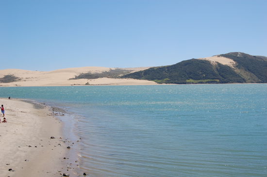 Die Sandduenen von Northland bei Opononi und Omapere.
