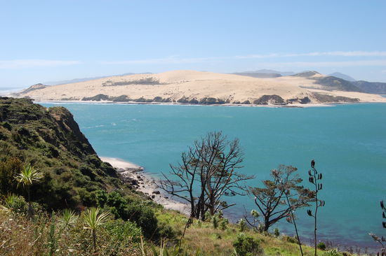 Da fragt man sich doch, was solche Sandduenen in Neuseeland machen, oder?