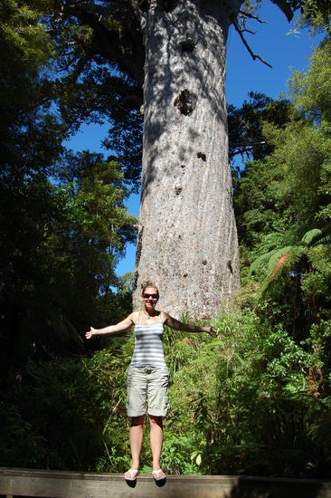 Soooooooooooo breit ist der.