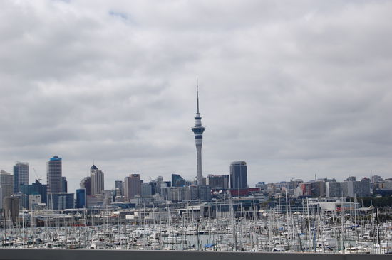 Skyline von Auckland
