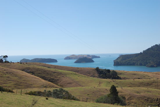 Blick auf die Coromandel Peninsula...