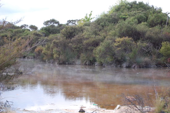 Direkt neben unserem Campground ist ebenfalls wie ueberall ein qualmender und stinkender Wassertuempel. Ausserdem gibt es einen Erdofen, in dem man sein Essen durch Erdwaerme garen kann und natuerliche heisse Pools, die man kostenlos nutzen darf, herrlich.