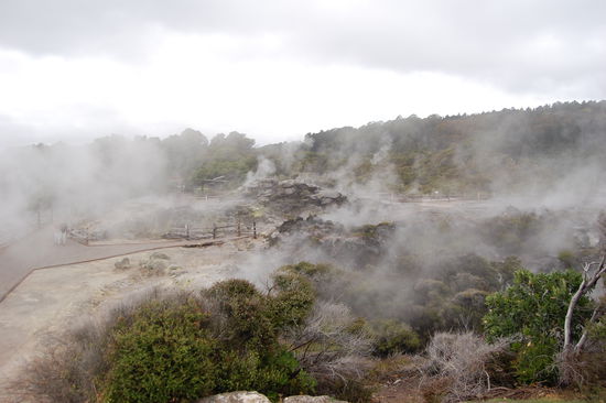 Hier sieht man die Wege, die zwischen den Dampfwolken durchfuehren.