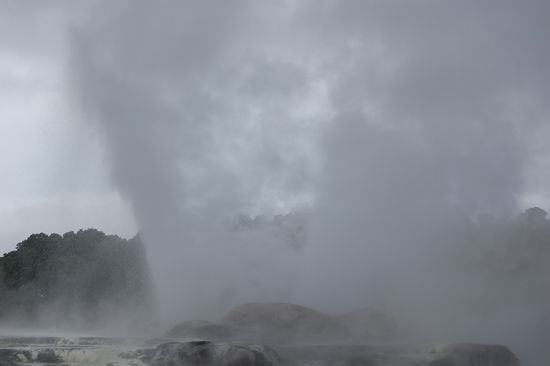 Der Pohutu Geysir ("grosser Spritzer), welcher 10-20 mal am Tag aktiv wird und dann 20m hoch spuckt.