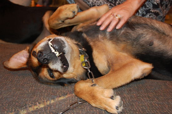 ...und liessen alles mit sich machen.