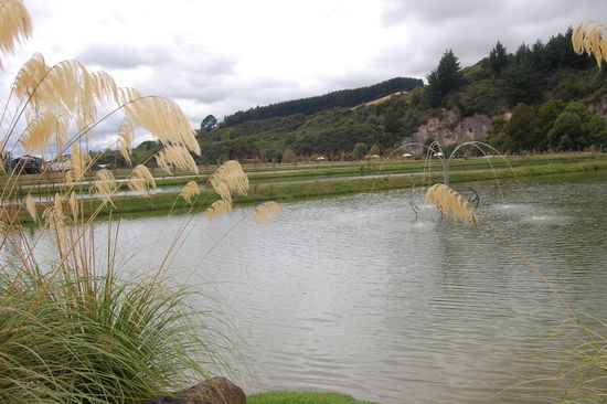 Eines der Zuchtbecken.