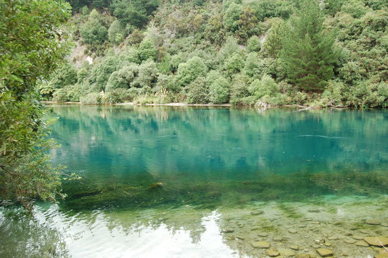 Die Garnelenfarm liegt direkt an einem glasklaren Fluss, wie es sie ueberall in Neuseeland gibt.