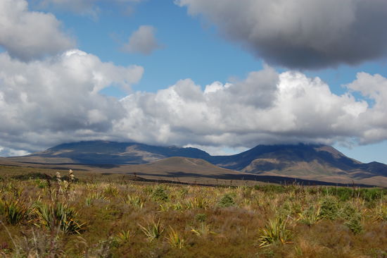 Blick auf die Vulkane...