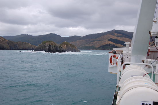 Eindruecke der Marlborough Sounds...
