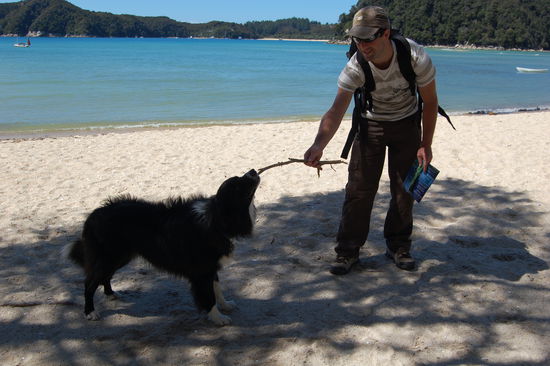 Komm spiel mit mit "Stoeckchen holen".