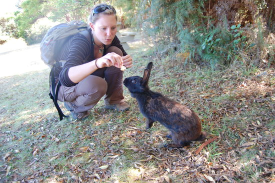 Am Ende des Trecks ist und dann noch dieser kleine Kerl ueber den Weg gelaufen und hatte gar keine Angst. Und unsere Plaetzchen fand er wohl auch ganz lecker.