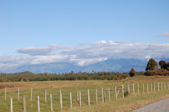 Entlang der Westkueste Richtung Franz-Josef Gletscher.