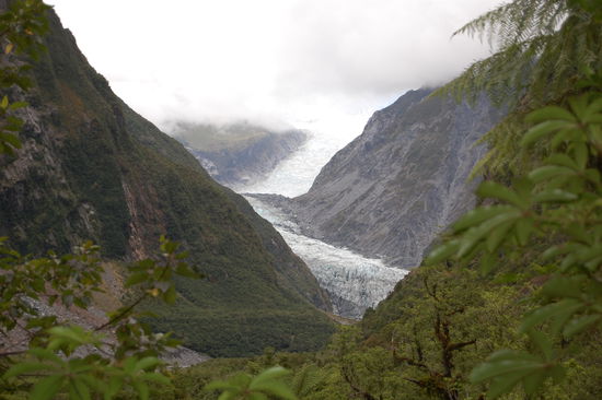 Der Fox-Gletscher umgeben von tropischem Wald.