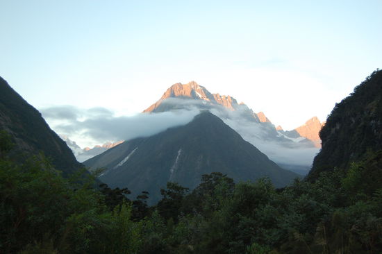 Auf dem Weg zum Milford Sound.