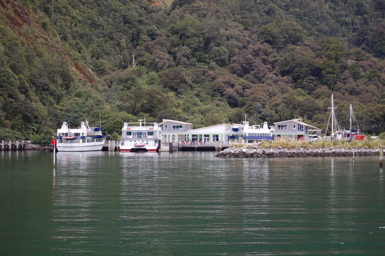 Milford Sound besteht nur aus einem kleinen Hafen, dem Visitor's Center und einem Hotel.