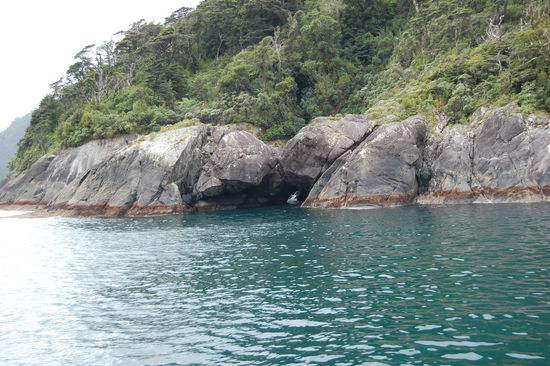 Der wohl romantischste Ort im Milford Sound: "die kuessenden Schildkroeten" wie unser Kapitaen es uns erzaehlte. Erkennt ihr sie?