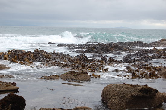 Die See ist hier wirkich sehr rauh.