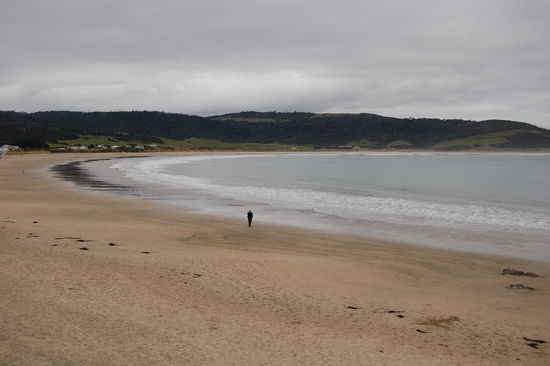 Die Porpoise Bay, an welcher wir die kleinen Hector Delphine im Wasser gesehen haben.