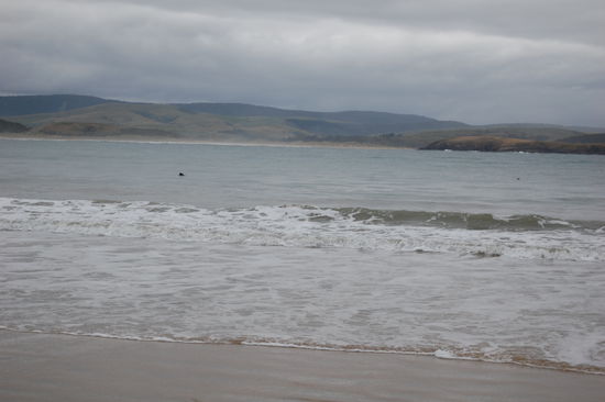 Der schwarze Punkt (links) ist ein Delphin.