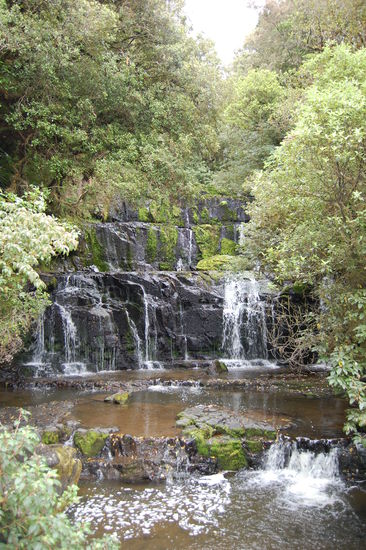 Die Purakaunui Falls sind die meist fotografiertesten Wasserfaelle Neuseeland. Wir fanden sie nicht wirklich spektakulaer, was vielleicht auch daran liegt, dass ein trueber Tag war und wirklich wenig Wasser da war obwohl es regnete!