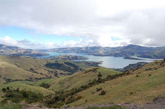 Die Banks Peninsula.