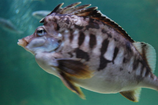 ...sieht irgendwie cool aus, oder.