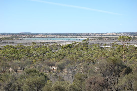 Blick vom Wave Rock aus.