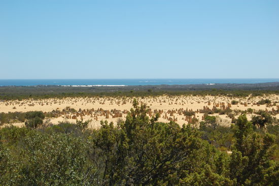 Blick über die Pinnacles Desert und Banksia-Buschland zur Küste.