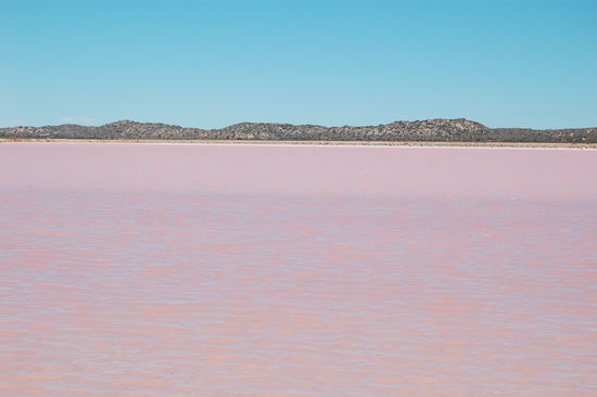 Und dann kamen wir an diesem rosanen See vorbei, ueber den wir nicht viel sagen koennen, da wir im Reisefuehrer nichts ueber ihn gefunden haben.