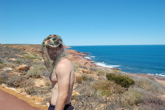 Zum Glueck hatten wir unsere Fliegennetze von vor 2 Jahren wieder dabei, denn die Fliegen waren hier sehr nervig.