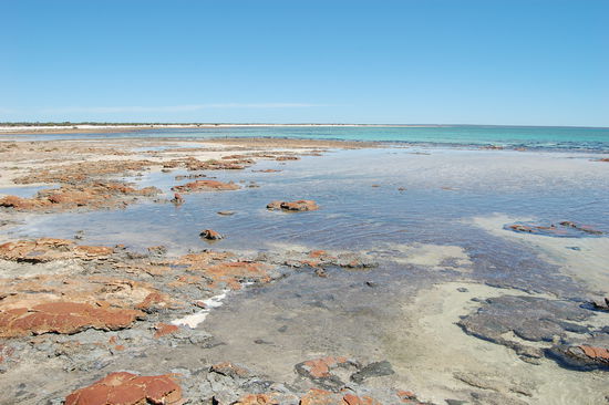 Schoenes Farbenspiel...