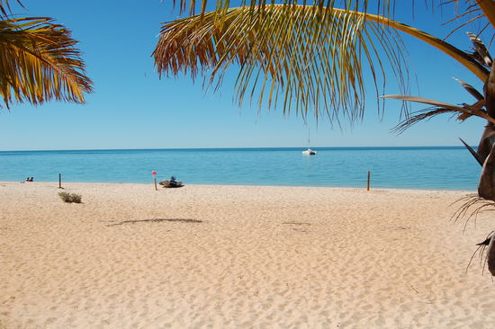 Der Strand von Monkey Mia.