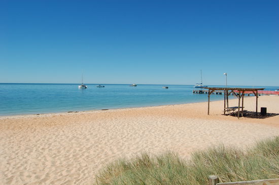 Neben dem Steg befindet sich die sogenannte "Dolphin Interaction Area", in welcher man nicht schwimmen darf, da dies ausschliesslich fuer die Delphine ist.