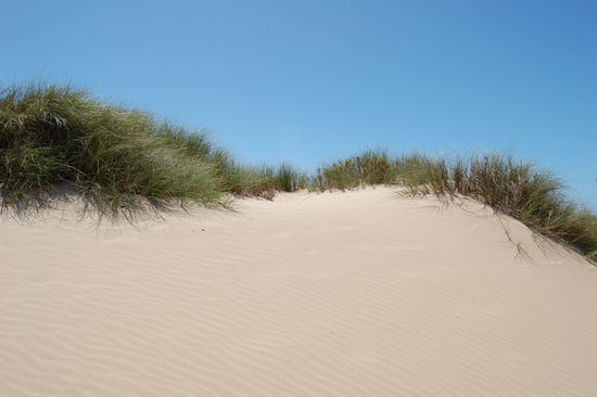 Sandduenen.