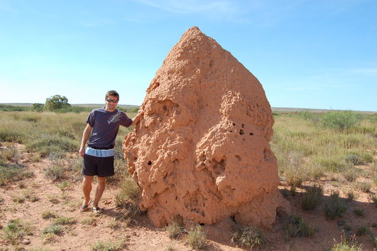 ...die nicht gerade klein sind, wie man hier sehr gut sehen kann.