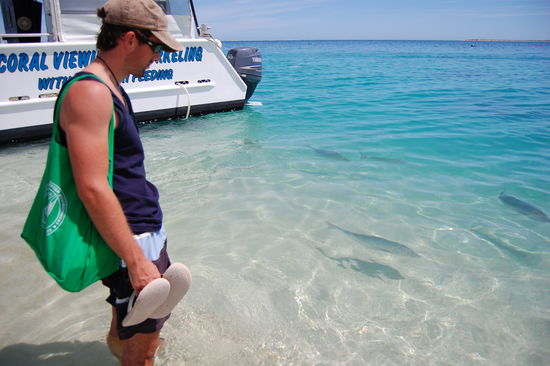 Das Wasser ist am Strand glasklar...