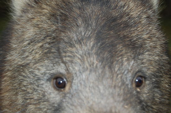 ...der so suess war...