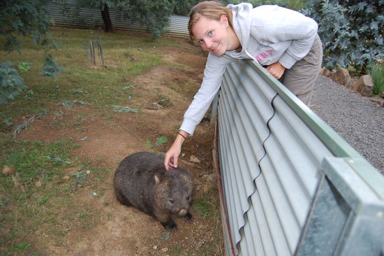 ...und wir ihn am liebsten mit heim genommen haetten...