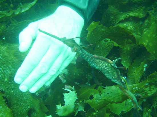 Hier auch nochmal...