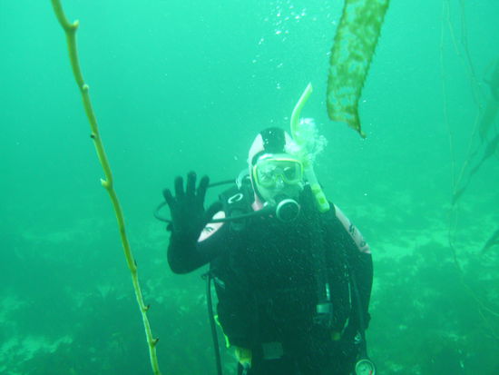 Das bin ich, Nadine. Trotz des dicken Anzugs laeuft einem ab uns zu eine Gaensehaut ueber den Koerper, da man das kalte Wasser doch ein bisschen merkt...