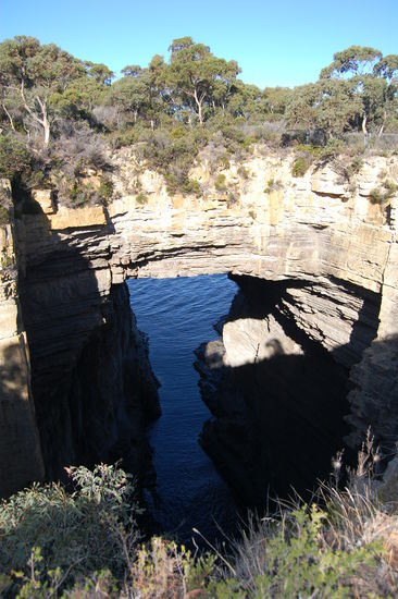 Tasman Arch.