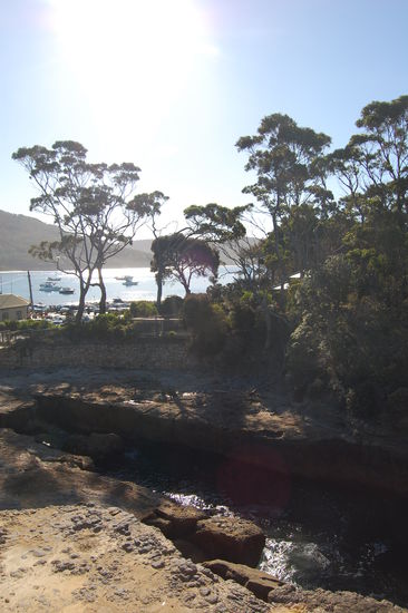 Tasman Blowhole, welches wegen Ebbe nicht aktiv war...
