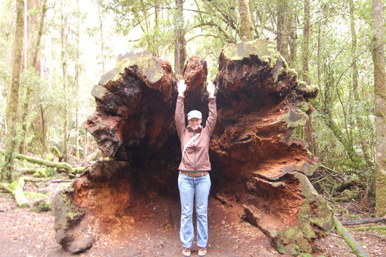 Wie dieser zum Beispiel...