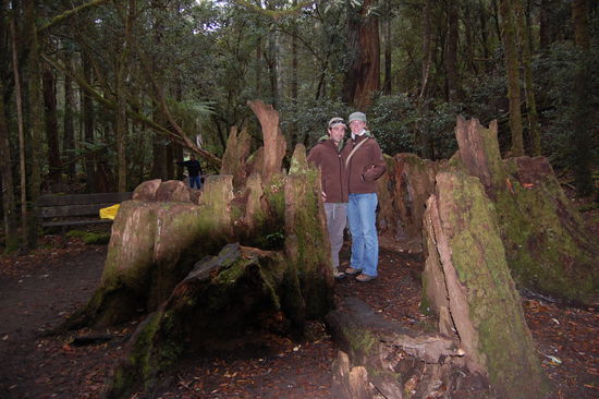 Wir stehen theoretisch in dem Baum drin.