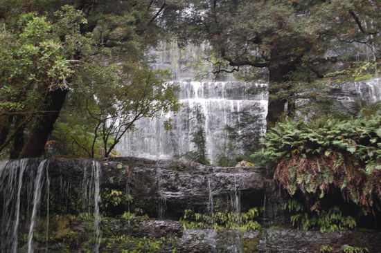 Bekannt ist der Park vor allem wegen der Russell Falls...